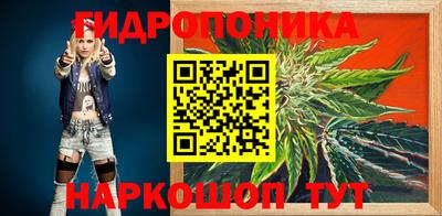 прущие грибы Ангарск