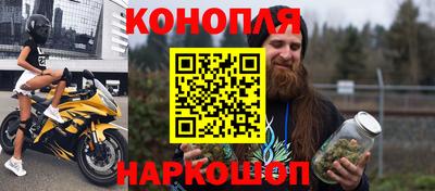 прущие грибы Ангарск