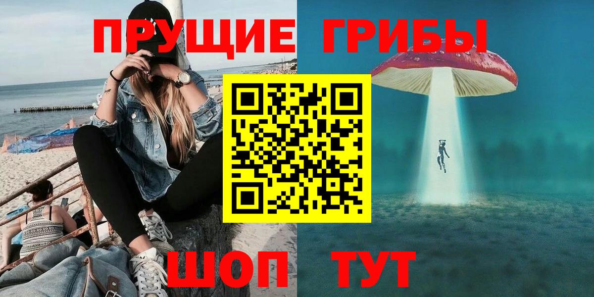Псилоцибиновые грибы мухоморы Горно-Алтайск