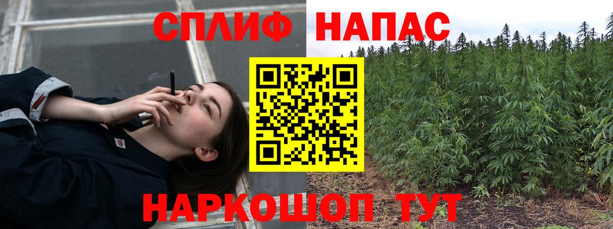 Каннабис Ganja Горно-Алтайск